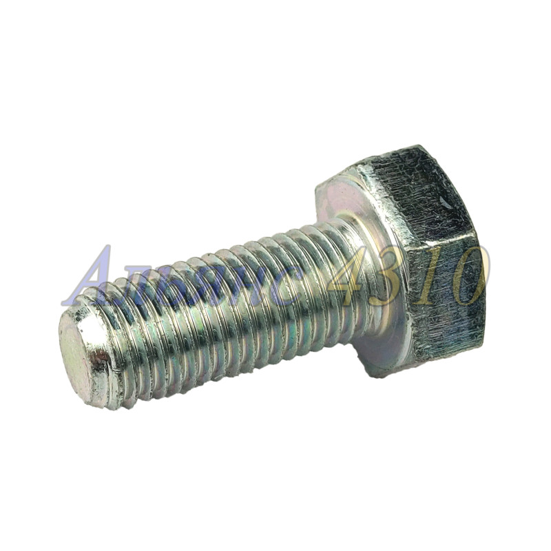 Болт М10х25х1,25 - БелЗАН